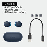 Sony WF-XB700 Bluetooth Truly Wireless in Ear Earbuds with Mic Extra Bass with 18 Hours Battery Life for Phone Calls, Quick Charge, Ver 5.0 (Blue)