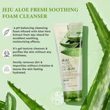 The Face Shop Jeju Aloe Fresh Soothing Foam Cleanser (150ml)