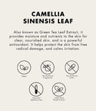 One Thing Camellia Sinensis (Green Tea) Leaf Extract (150ml)