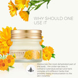 The Face Shop Calendula Essential Moisture Eye Cream (20ml)