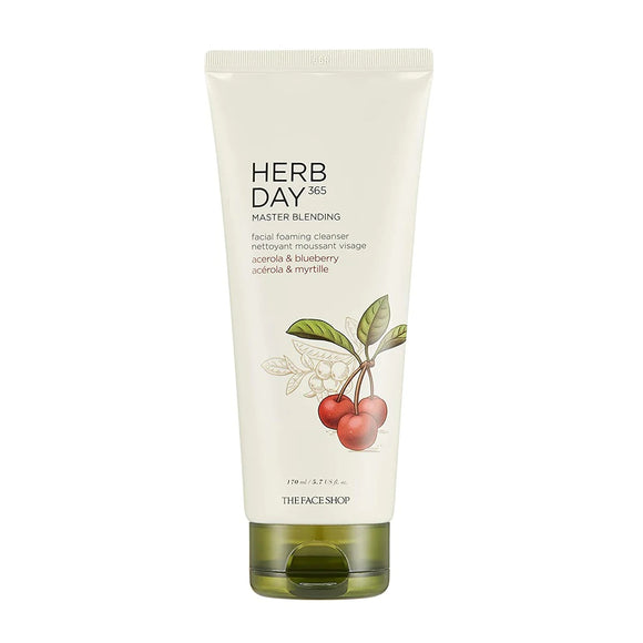 The Face Shop HERB DAY 365 Master Blending Foaming Cleanser (170ml)