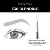 Sigma Beauty Blending Brush - E36